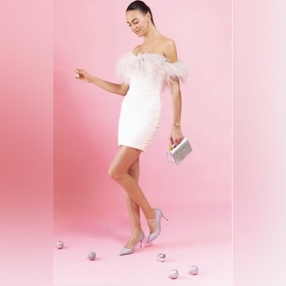 Rachel Gilbert Dresses & Skirts - NWT Rachel Gilbert Zion Mini Pleated Dress- Ivory Size 4 US